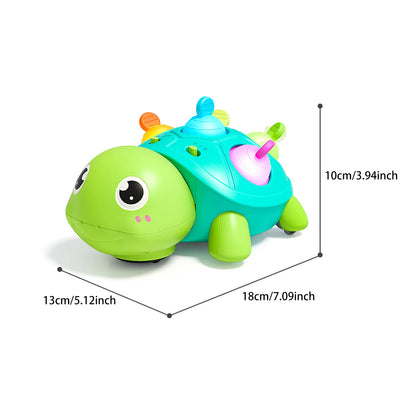 Turtle Crawling Sound Light Toy